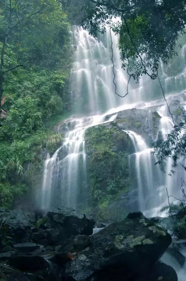 云浮旅游景点最值得去的地方（云浮最具本土文化特色的40个景点）(67)