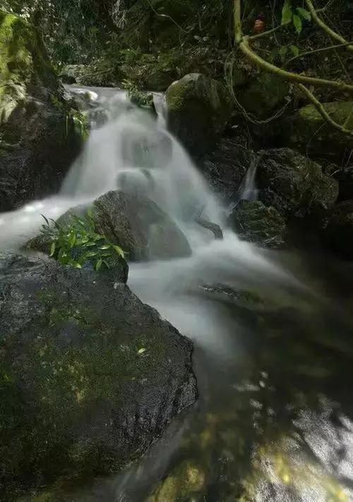 云浮旅游景点最值得去的地方（云浮最具本土文化特色的40个景点）(29)