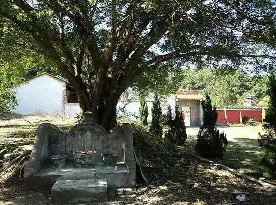 云浮旅游景点最值得去的地方（云浮最具本土文化特色的40个景点）(74)