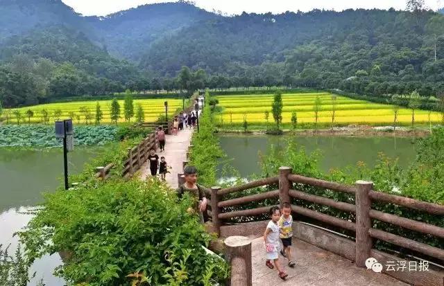 云浮旅游景点最值得去的地方（云浮最具本土文化特色的40个景点）(10)