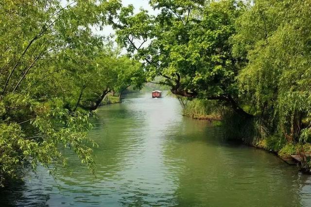 云浮旅游景点最值得去的地方（云浮最具本土文化特色的40个景点）(86)