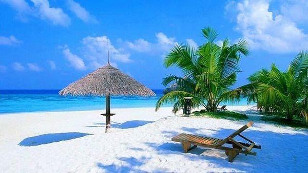 三亚旅游必吃攻略（超详细的三亚游玩美食攻略）(1)