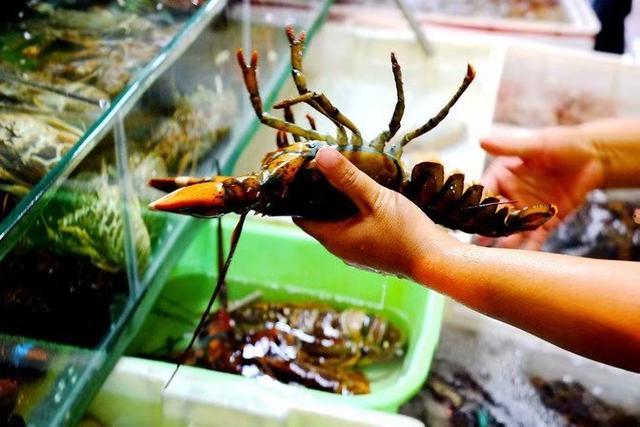 三亚旅游必吃攻略（超详细的三亚游玩美食攻略）(12)