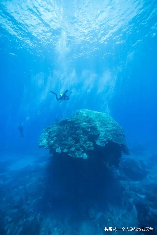 大陆赴台自由行有何规定（赴台旅游暂停两年后）(37)