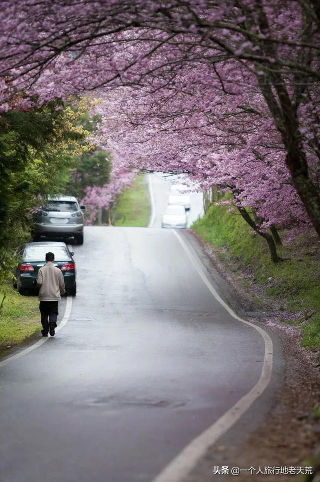 大陆赴台自由行有何规定（赴台旅游暂停两年后）(20)