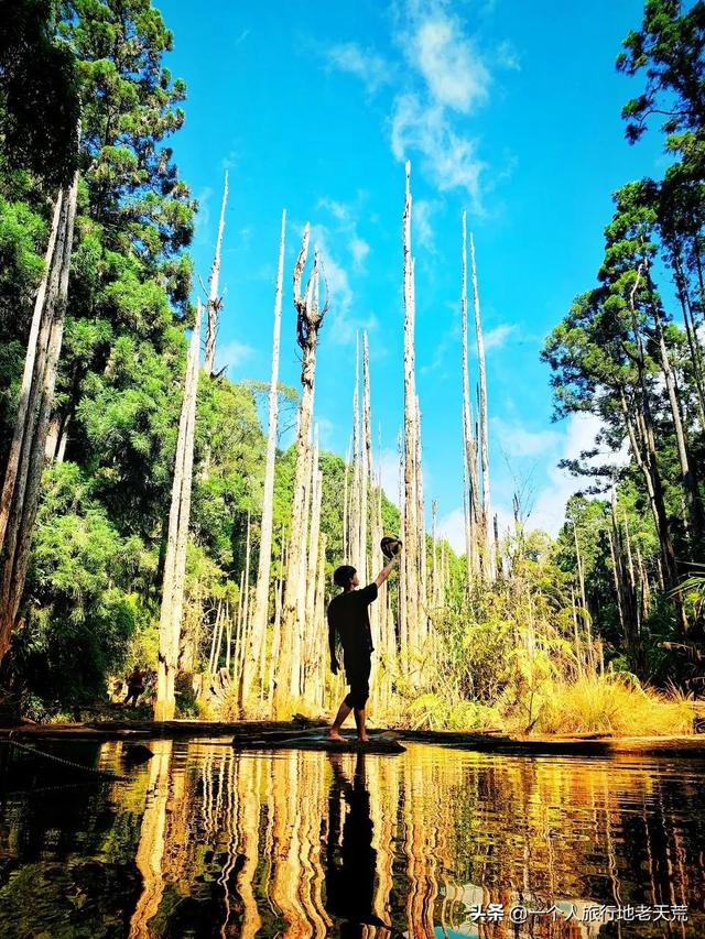 大陆赴台自由行有何规定（赴台旅游暂停两年后）(31)