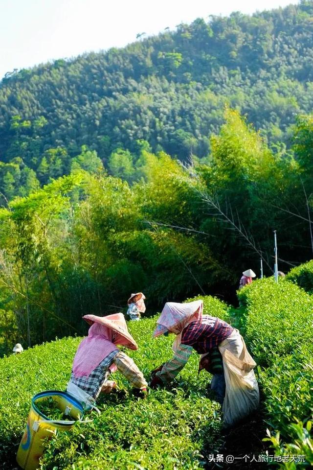 大陆赴台自由行有何规定（赴台旅游暂停两年后）(15)