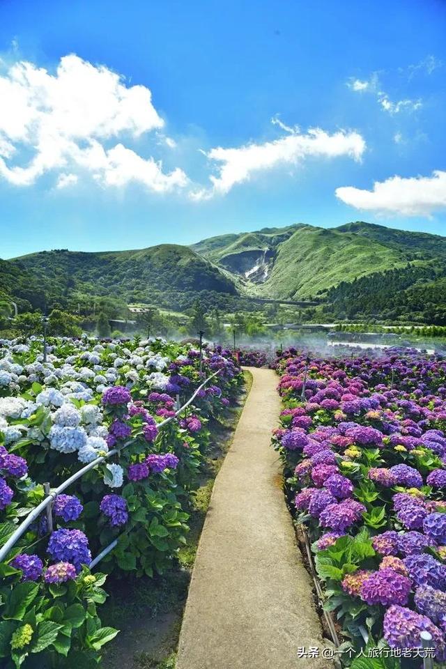 大陆赴台自由行有何规定（赴台旅游暂停两年后）(21)