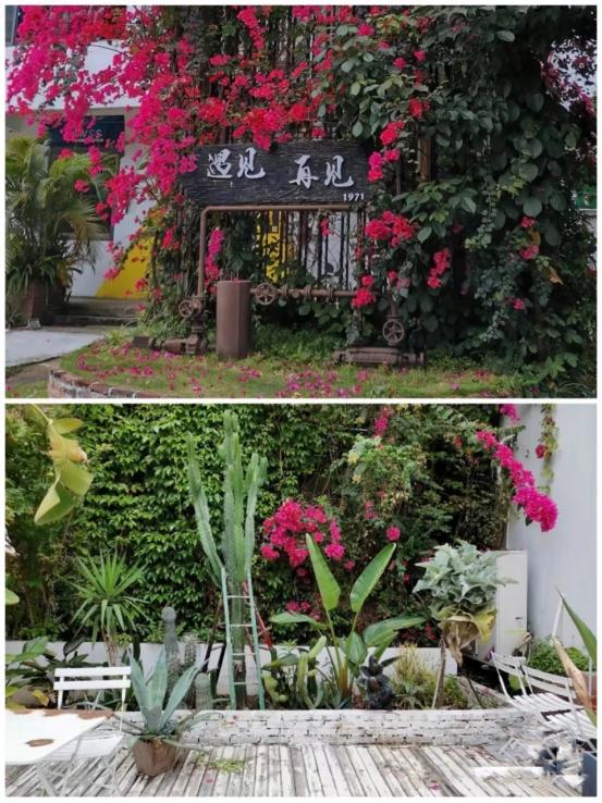 莆田旅游攻略必去景点排行榜（旅游也能长见识）(65)