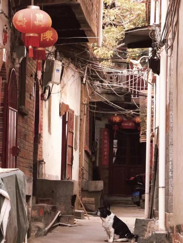 莆田旅游攻略必去景点排行榜（旅游也能长见识）(30)