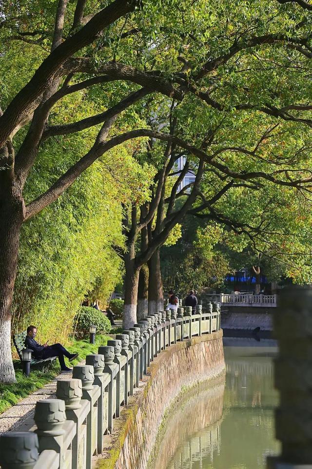 上海森林公园哪里最好（魔都最新五星级公园出炉）(45)