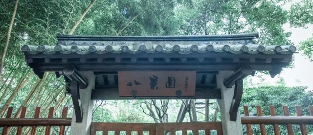 上海森林公园哪里最好（魔都最新五星级公园出炉）(35)