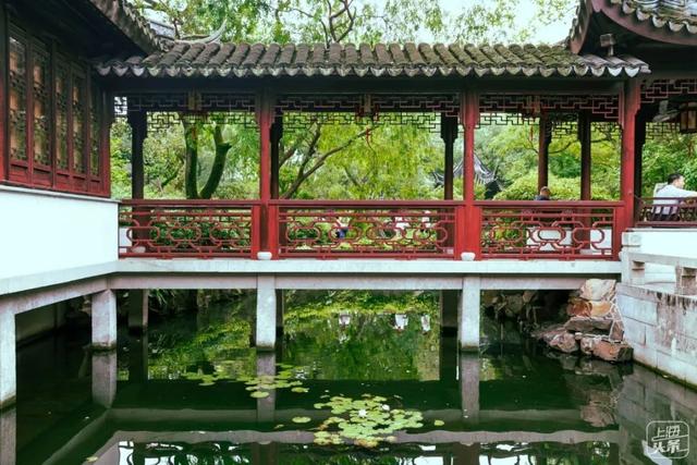 上海森林公园哪里最好（魔都最新五星级公园出炉）(4)