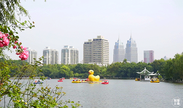 上海森林公园哪里最好（魔都最新五星级公园出炉）(39)