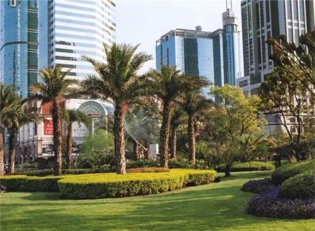 上海森林公园哪里最好（魔都最新五星级公园出炉）(24)