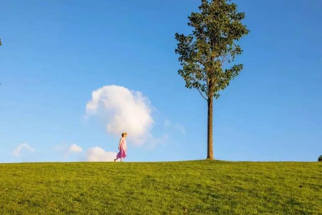 上海森林公园哪里最好（魔都最新五星级公园出炉）(14)