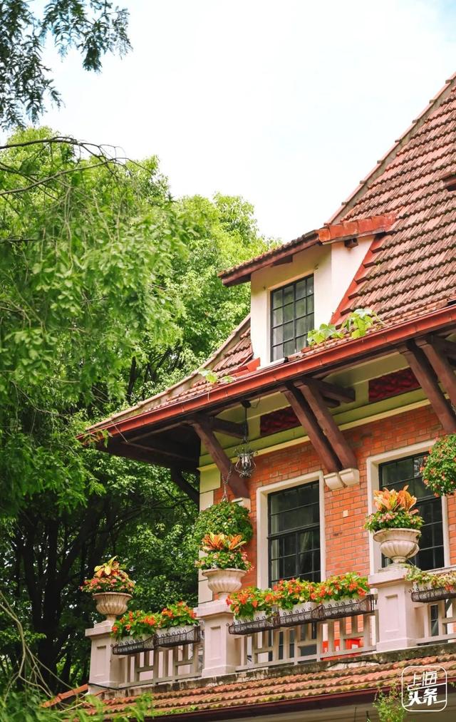 上海森林公园哪里最好（魔都最新五星级公园出炉）(31)