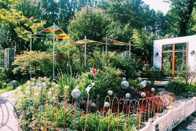 上海森林公园哪里最好（魔都最新五星级公园出炉）(13)