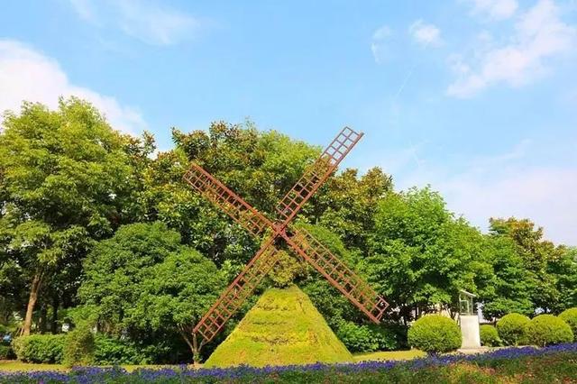 上海森林公园哪里最好（魔都最新五星级公园出炉）(27)