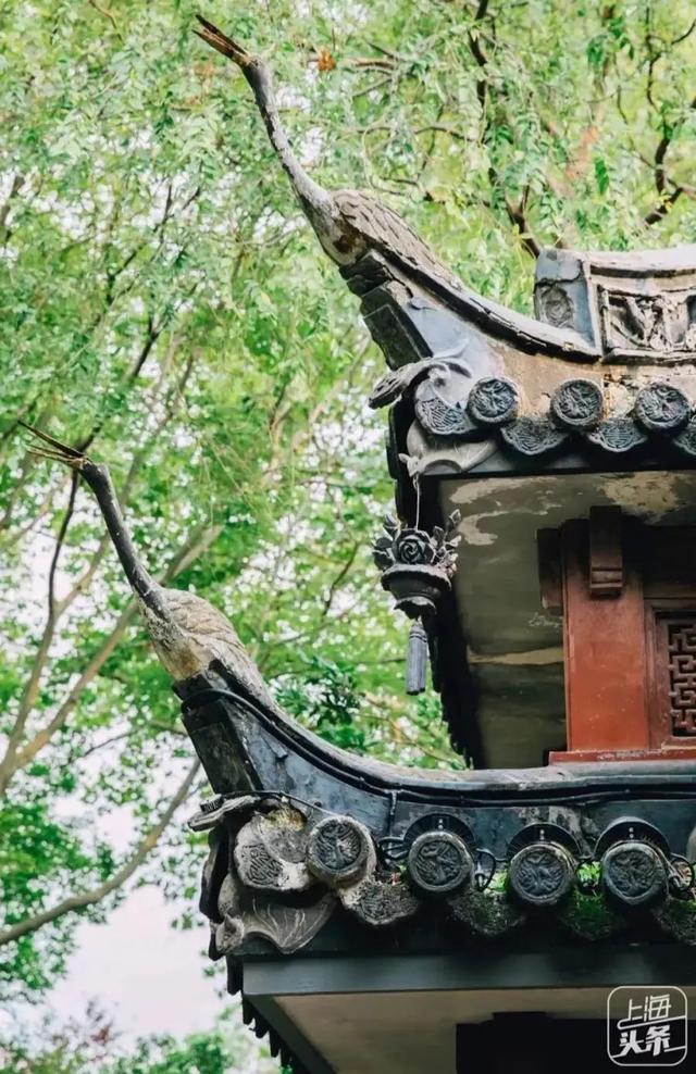 上海森林公园哪里最好（魔都最新五星级公园出炉）(6)