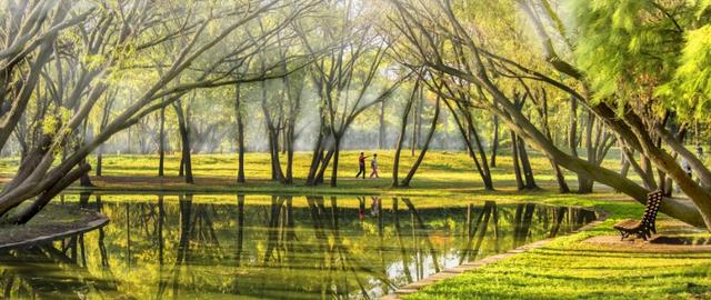 上海森林公园哪里最好（魔都最新五星级公园出炉）(19)