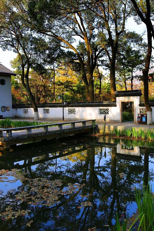 上海森林公园哪里最好（魔都最新五星级公园出炉）(46)