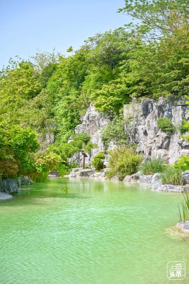 上海森林公园哪里最好（魔都最新五星级公园出炉）(40)