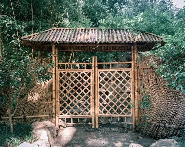 上海森林公园哪里最好（魔都最新五星级公园出炉）(36)