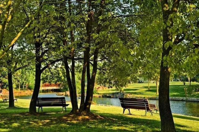 上海森林公园哪里最好（魔都最新五星级公园出炉）(8)