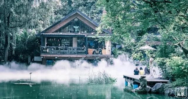 上海森林公园哪里最好（魔都最新五星级公园出炉）(33)