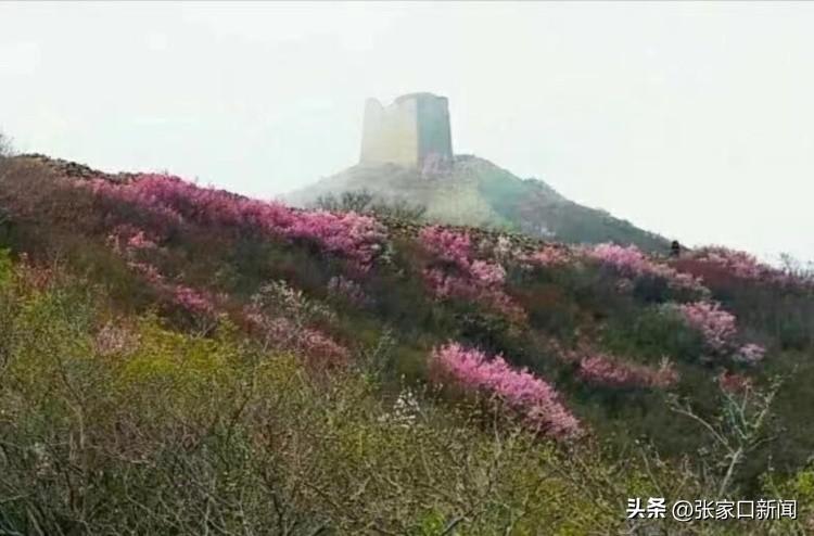 张家口有山吗(张家口有什么山)