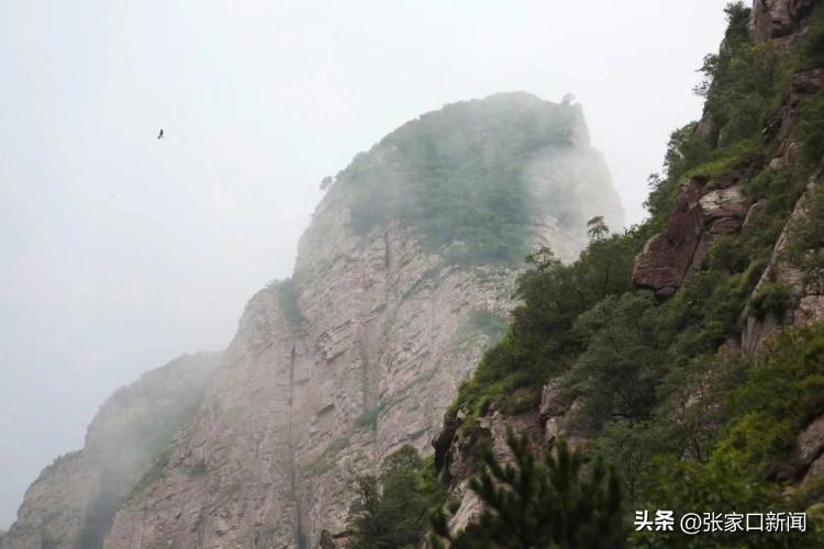张家口有山吗(张家口有什么山)