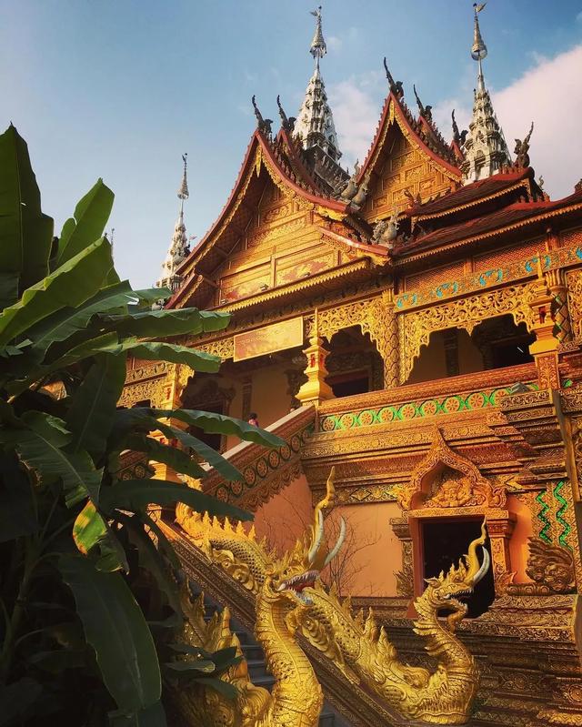 西双版纳值得一去的景点（来西双版纳旅游必去的10大景点）(14)