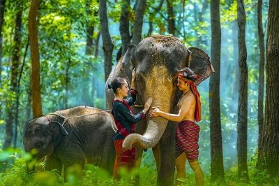 ​西双版纳值得一去的景点（来西双版纳旅游必去的10大景点）