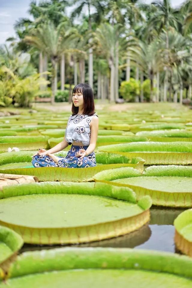 西双版纳值得一去的景点（来西双版纳旅游必去的10大景点）(16)