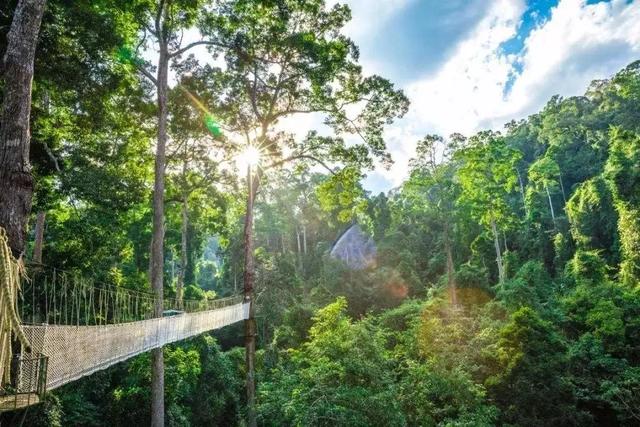 西双版纳值得一去的景点（来西双版纳旅游必去的10大景点）(18)