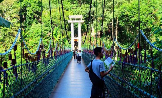 西双版纳值得一去的景点（来西双版纳旅游必去的10大景点）(23)