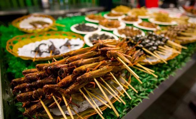 西双版纳值得一去的景点（来西双版纳旅游必去的10大景点）(33)