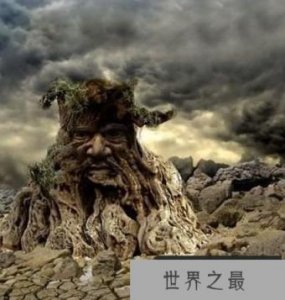 ​食人树之谜,恐怖的传说或许是存在的