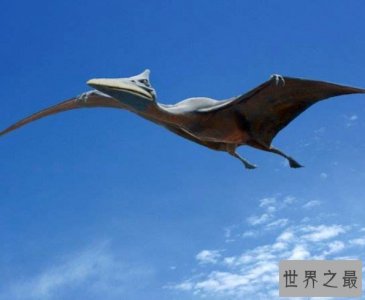 ​最大飞行生物“冰龙”属新物种，翼展超10米