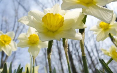 ​天秤座男生一见钟情的表现（天秤男一见钟情的星座女）