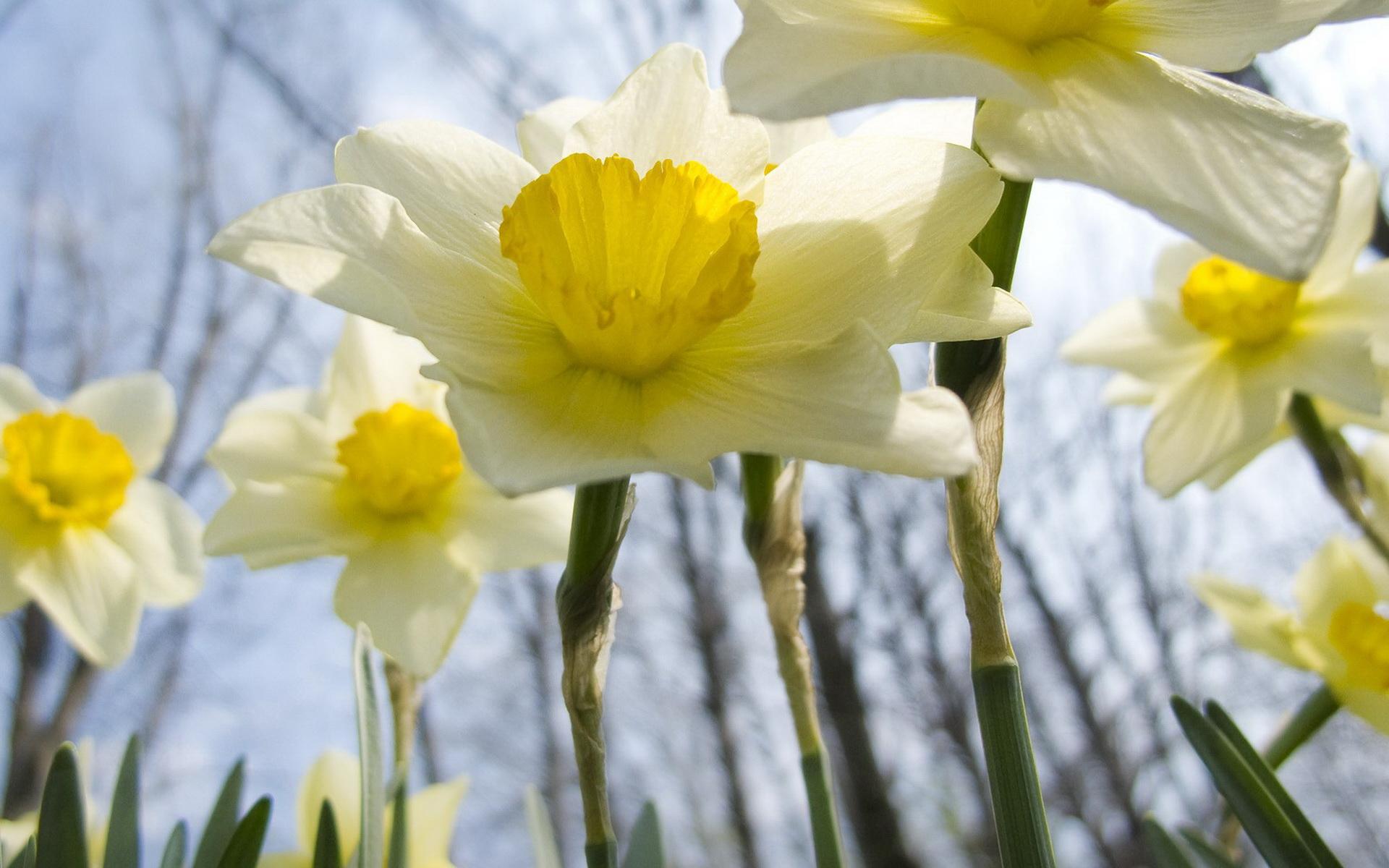 天秤座男生一见钟情的表现（天秤男一见钟情的星座女）(图1)