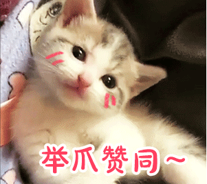 最火的美颜相机软件（女生拍照专用的5款APP）