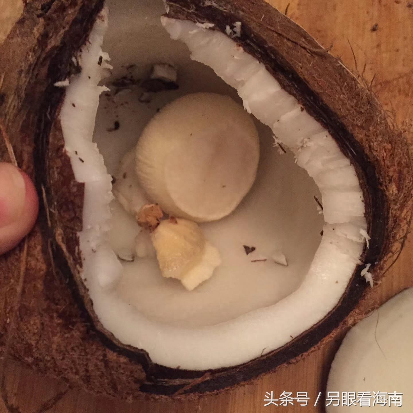 喝了这么多年椰子 你喝出过“椰子宝”吗？