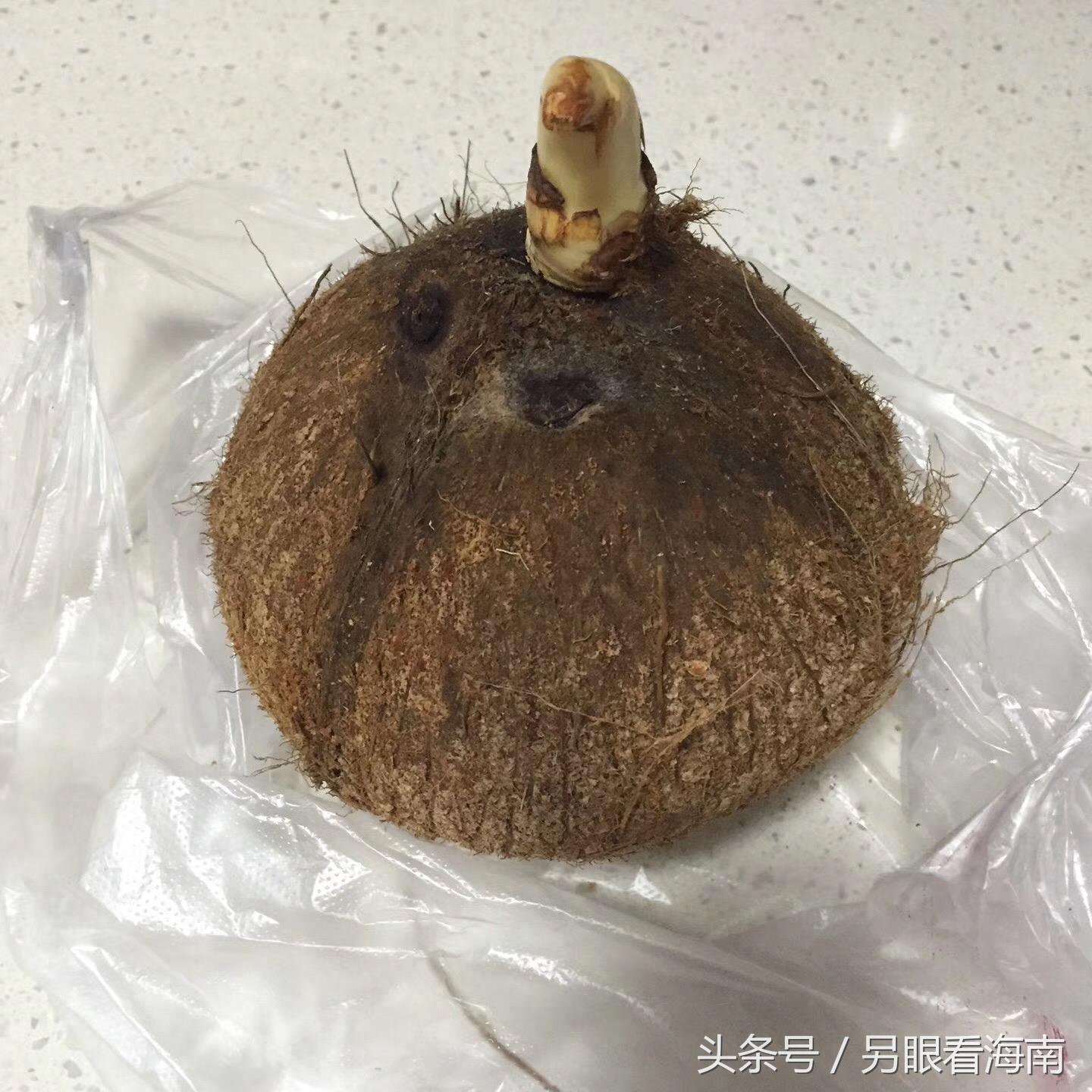 喝了这么多年椰子 你喝出过“椰子宝”吗？