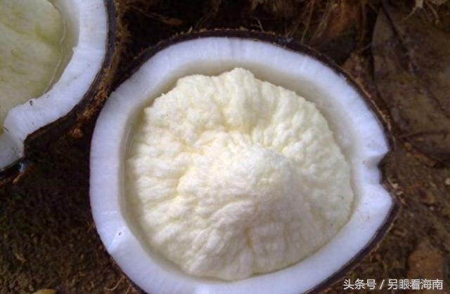 喝了这么多年椰子 你喝出过“椰子宝”吗？