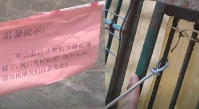 ​福建一蟒蛇通过“缩骨术越狱”，动物园：花花的很漂亮，暂未伤人