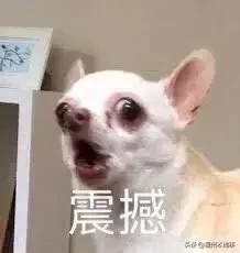 福州第一高楼什么时候开建（定了福州518大楼）(20)