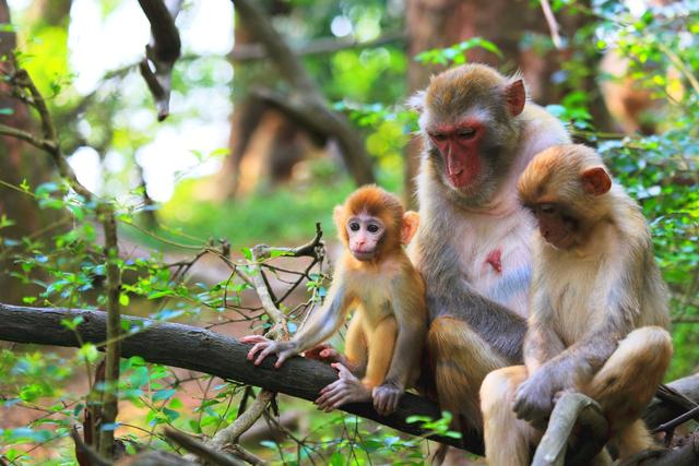 千岛湖旅游攻略自由行最佳路线(旅游攻略抓住11月的尾巴)(13)