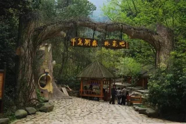 千岛湖旅游攻略自由行最佳路线(旅游攻略抓住11月的尾巴)(4)